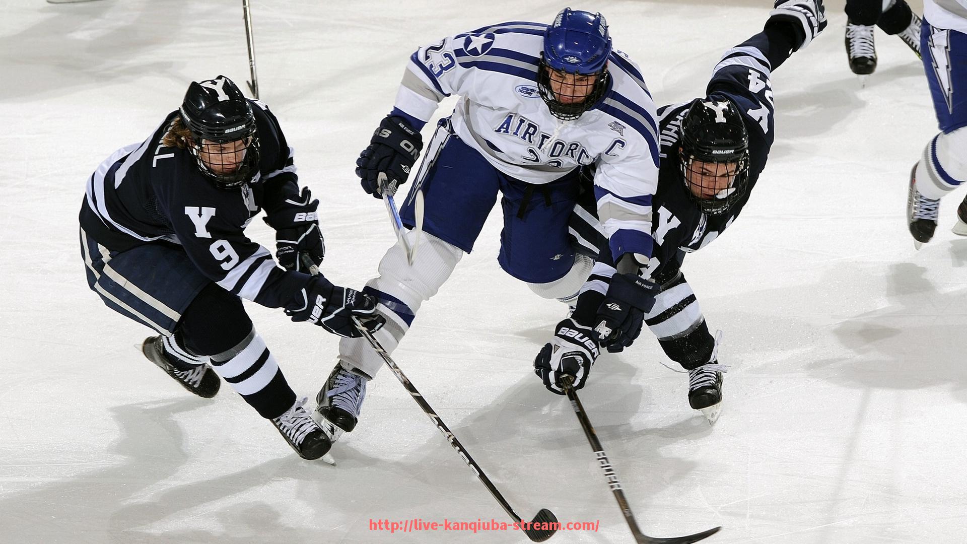 看球吧直播-当前最受年轻人欢迎的潮流健身器材新品推荐